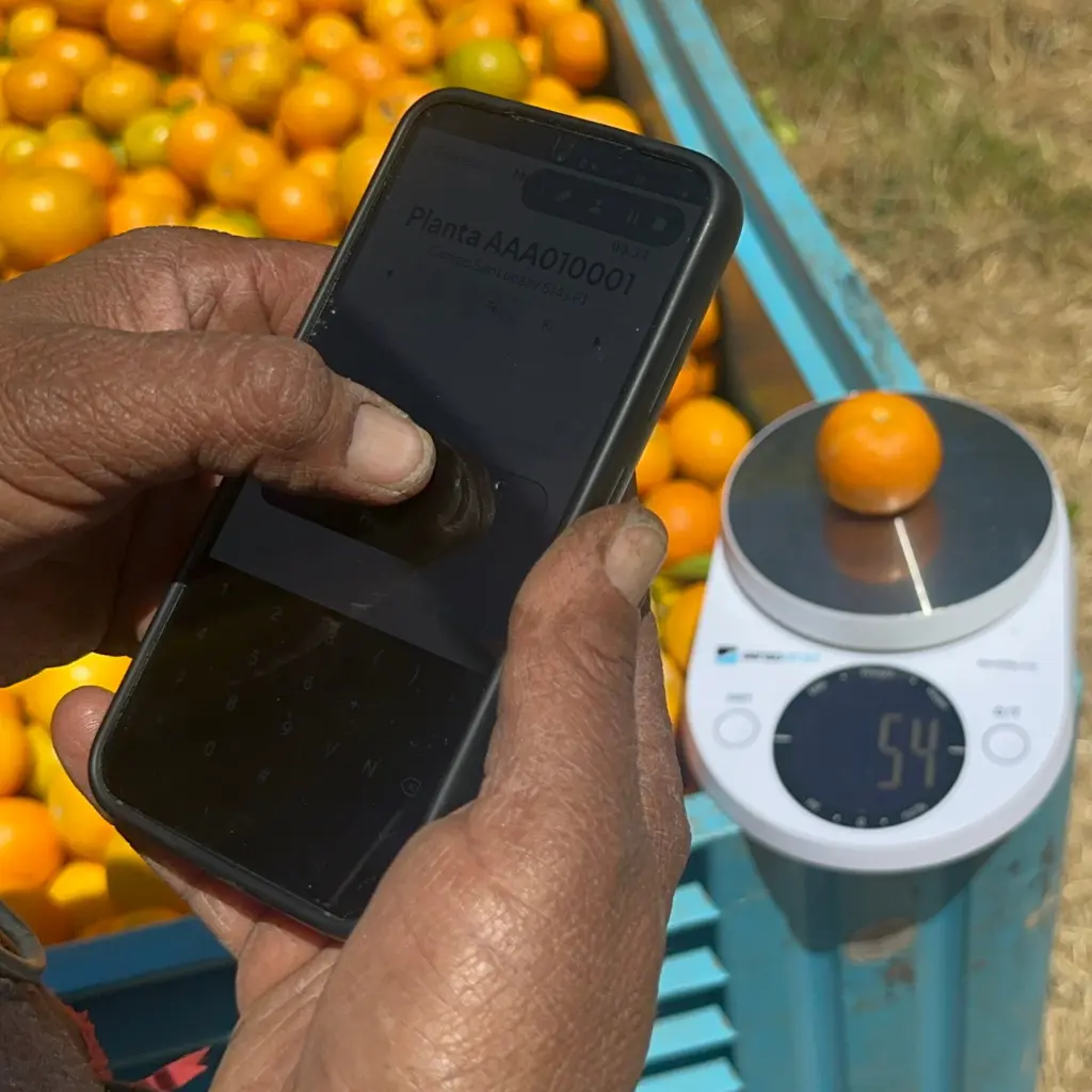 Recursos varios (15).webp