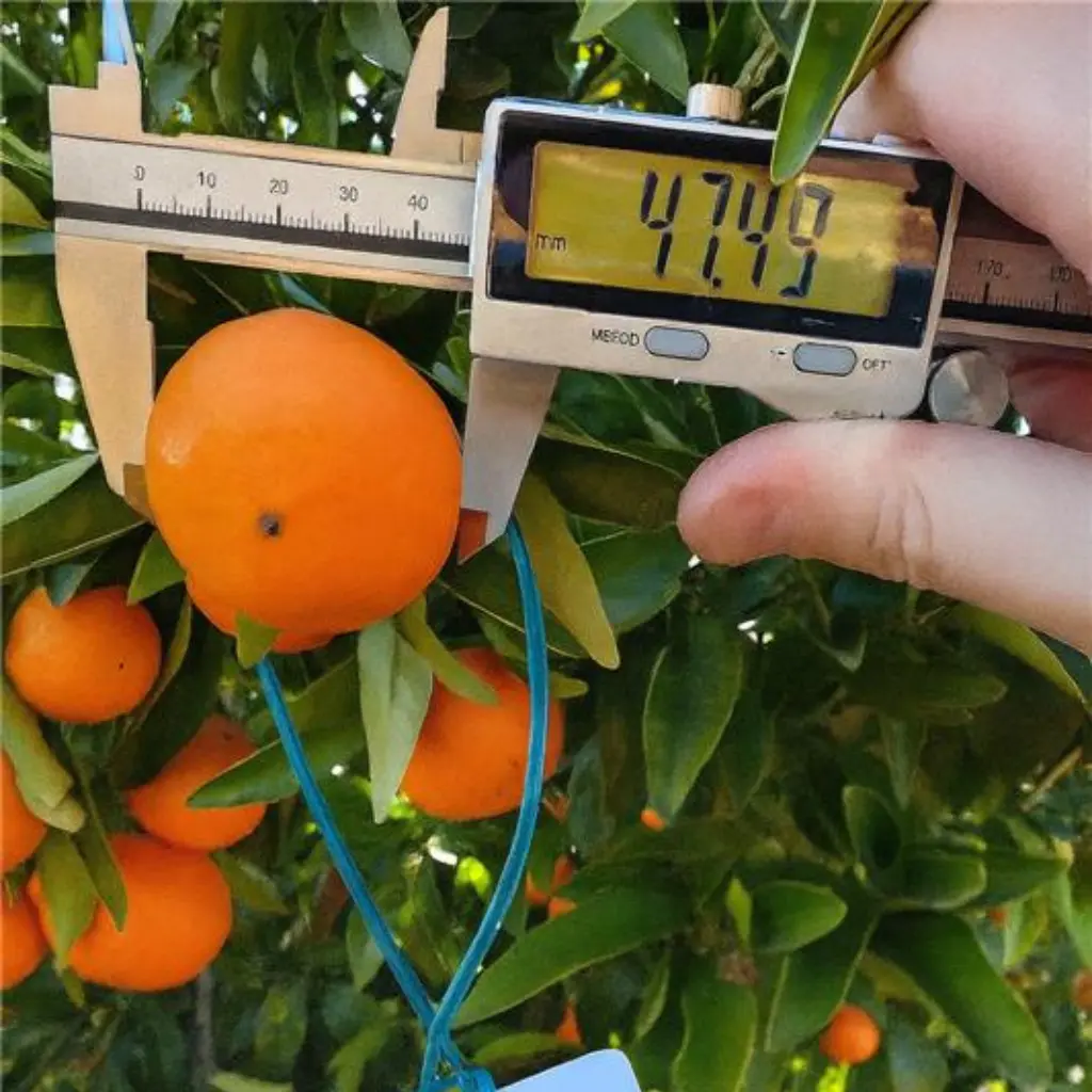 Recursos varios (1).webp