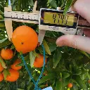 Recursos varios (1).webp