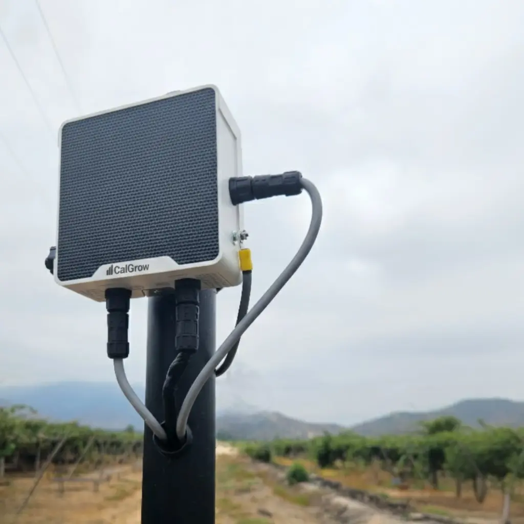 Copia de Post Jornada Inducción (3).webp