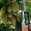 ChatGPT Image 27 ago 2025, 06_01_06 p.m..webp